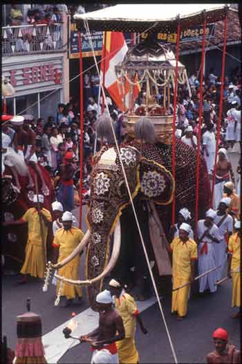 Esala Day Perahera
